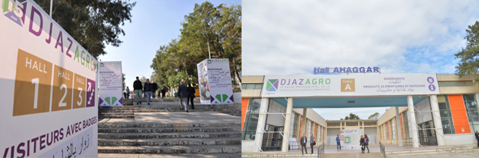 DJAZAGRO 2019